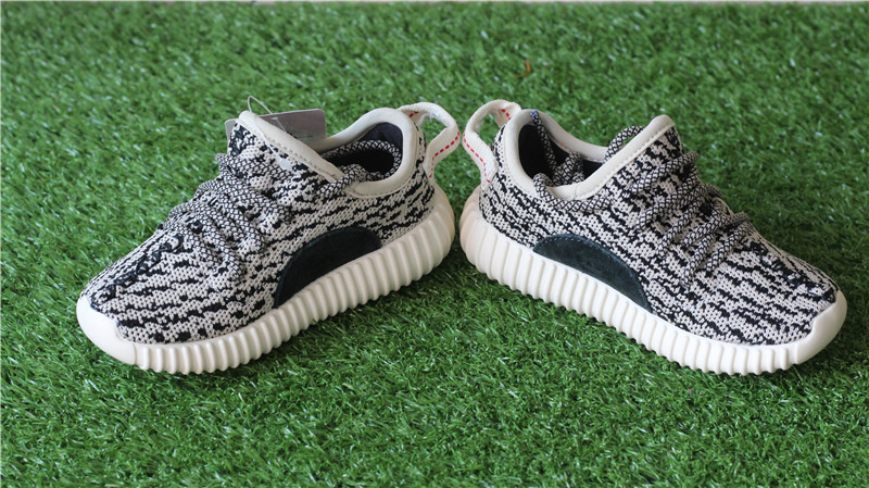 yeezy turtle dove infant