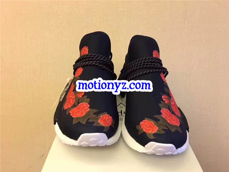 adidas human race gucci