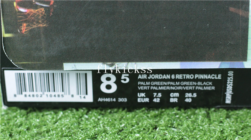 jordan 6 flight 5