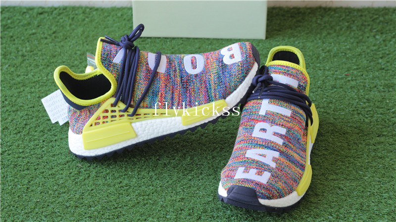 rainbow human race